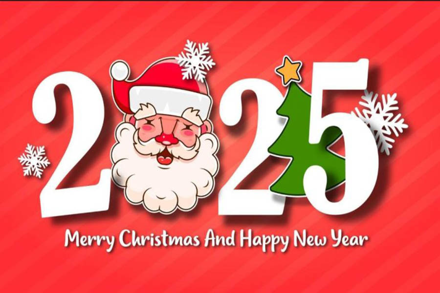 Joyeux Noël et bonne année 2025